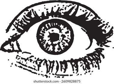 Single Hand-Drawn Eye Illustration (Slight Variation), a detailed hand-drawn illustration of a single human eye, rendered in black ink on a white background.