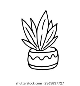 Single hand-drawn houseplant. Doodle vector illustration. Cute element for greeting cards, posters, stickers, and home decor design. Isolated on a white background.
