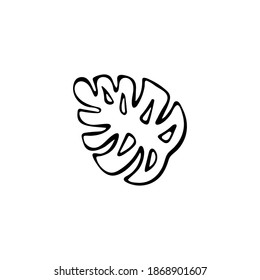 Hoja de monastera dibujada a mano. Plantas tropicales exóticas aisladas en fondo blanco. Ilustración vectorial.