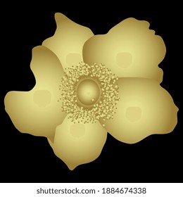 Single head of anemone flower. Glossy golden silhouette on black background.