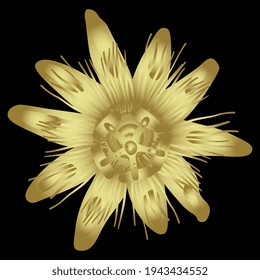 Single head of Passion Flower or Passiflora bloom. Golden glossy silhouette on black background.