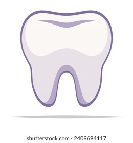 Ilustración aislada de vectores de dientes sanos