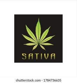 single hem pot cannabis leaf marijuana sativa, indica, ruderalis cannabis leaf icon vector logo design