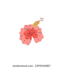 Single hibiscus flower. Hand drawn tropical blossom plant. Isolated flat vector illustration.