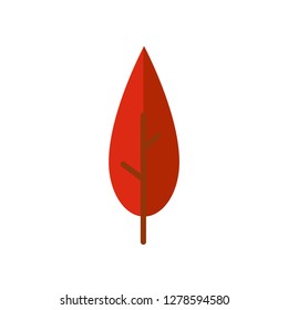 Single high quality autumn leaf related icon. Isolated autumn leaf symbols in white background. Graphic icons element
