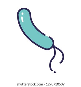 Single high quality bacteria related icon. Isolated bacteria symbols in white background. Graphic icons element