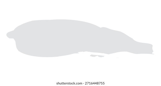 Un solo trazo de pintura gris claro, Horizontal, con bordes suaves y desiguales, aislado sobre un fondo blanco limpio, creando una textura minimalista y artística.