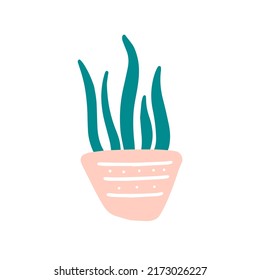 Single hoseplant in a pink pot. Snake plant for your t shirt design, postcard, poster. Hand drawn vector illustration on a white background.