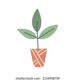 Single Houseplant With Large Leaves In Pot With Pattern. Isolated Home Natural Decor. Indore Plant For Room, Office And Home Of Comfort. Greenery In Flowerpot Vector Illustration