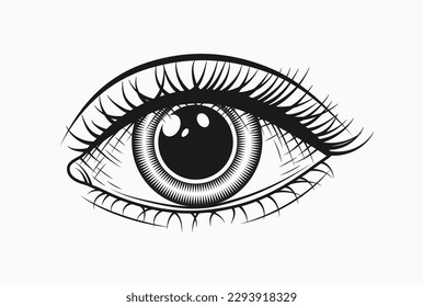 Single human eye with lashes. Direct camera look. Monochrome black and white detailed illustration. Engraving stroke