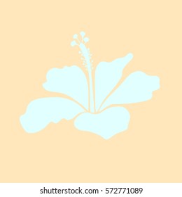 Single icon with neutral and beige flower. Vector illustration. Vector illustration of neutral and beige hibiscus flower isolated.
