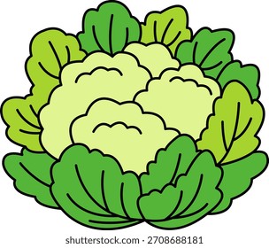ilustração única de uma couve-flor