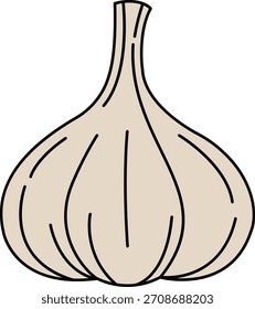 einzelne Abbildung eines Knoblauchs 