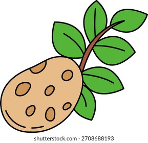 ilustración única de Una patata 