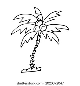 Una sola imagen de una palmera en el estilo de garabato o dibujo, gráficos vectoriales, dibujo a mano.