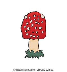 Single isolated amanita toadstool mushroom. Vector fly agaric with grass illustration on a white background