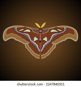 Una sola mariposa aislada de color Attacus atlas sobre un fondo marrón. Ilustración del vector
