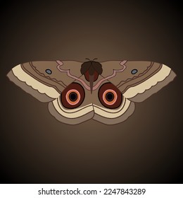 Single isolated colored butterfly Caligo atreus giant owl on a brown background. Vector illustration