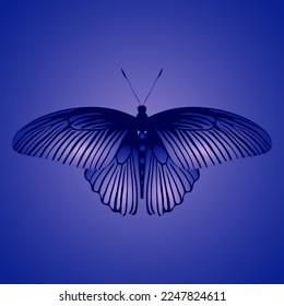 Single isolated colored butterfly great mormon on a  blue background. Vector illustration