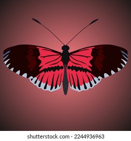 Single isolated colored butterfly melpomene on a black and red background. Vector illustration