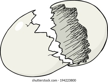 Single isolated cracked eggshell on white background