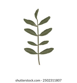 single isolated dried pressed plant graphic