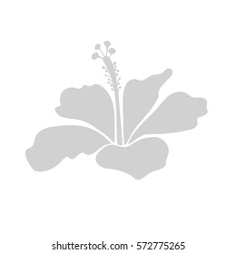 Single isolated gray on white hibiscus flower. Floral watercolor icon. Vector textile print for bed linen, jacket, package design, fabric or fashion concepts.