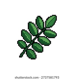 A single isolated pixel art sprite of an ash tree leaf with multiple leaflets.