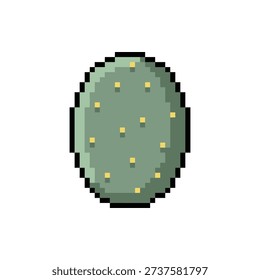 A single isolated pixel art sprite of a thick cactus pad with yellow spines.