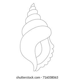Single Isolated Sea Shell cartoon. Outlined illustration with thin line black stroke