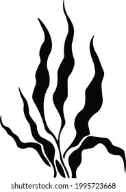 vector de silueta de algas aisladas