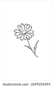 Solo aislado ramita flor margarita línea arte dibujo dibujado a mano fondo blanco.	