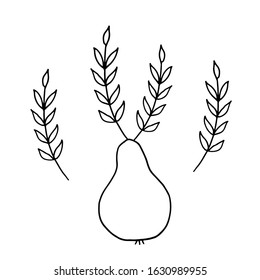 Single isolated vector doodle illustration on white background; spring branches with leaves in a pear.