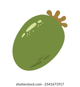 Única feijoa verde suculenta. Desenho desenhado à mão ilustração de frutos de baga de inverno