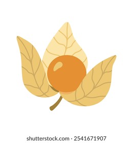 Fruta outonal única suculenta de physalis. Ilustração desenhada à mão de desenhos animados.