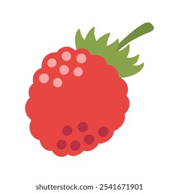 Single juicy red raspberry. Hand drawn cartoon summer berry fruit illustration