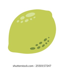 Um único sumarento de limão verde inteiro. ilustração desenhada à mão de frutas de verão de desenho animado