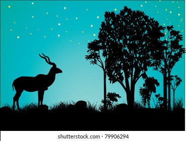 a  single kudu resting in the evening