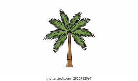 A single large glossy leaf from a monstera plant with natural fenestrations