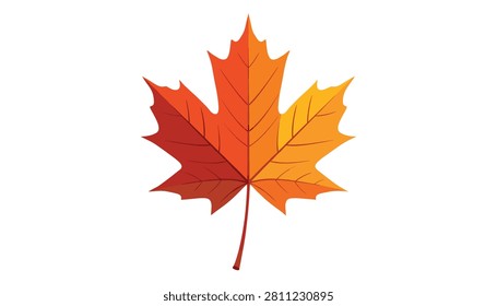 Single large maple leaf with vibrant autumn colors including red, orange, and yellow showing detailed vein patterns on white.