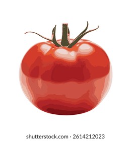 a single large red tomato