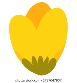 Single large yellow tulip blossom with dark green sepal
