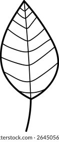 Uma única folha com veias detalhadas em um estilo de desenho de linha limpa. A folha é representada com um contorno simples e estrutura proeminente da veia. Ilustração de vetor de desenhos animados.