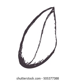 single leaf icon image