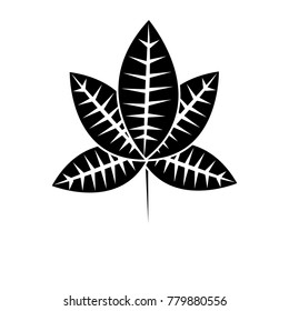 single leaf icon image 