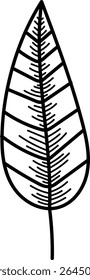 Uma única folha com intrincados padrões de veia em um estilo de desenho de linha em negrito. A folha é alongada com linhas simétricas criando uma textura natural. Ilustração de vetor de desenhos animados.