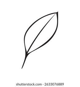 Single Leaf Line Art Hand Draw Vector Illustration