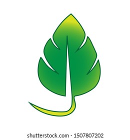 Single leaf organic gradient logos - vector