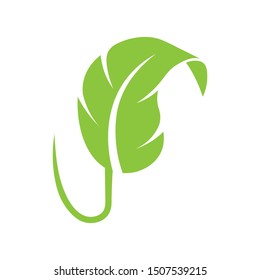 Single leaf organic logos - Vector