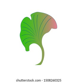Single leaf organic - vector